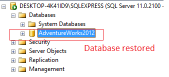 database-restored-from-bak-file-sql-server-8-min.png